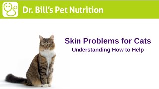 Skin Problems for Cats  Understanding How to Help  Dr Bills Pet Nutrition  The Vet Is In [upl. by Sisely]