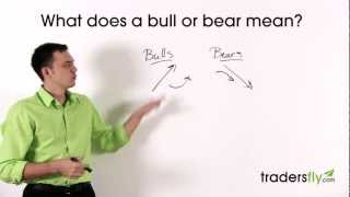 What Does a Bull and Bear Mean in the Stock Market [upl. by Barny76]