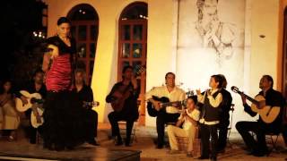 Le gitan Chico amp The Gypsies clip Daniel Guichard [upl. by Ericksen]