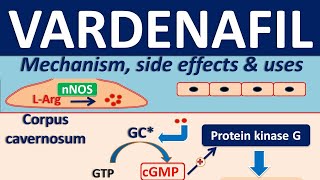 Vardenafil  Mechanism side effects drug interactions and clinical uses [upl. by Prima]