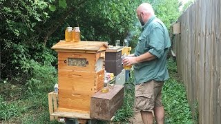 Beginner Beekeepers Must Watch  Still the best practices in 2022  Beginner Beekeeper Episode 9 [upl. by Adnolehs]