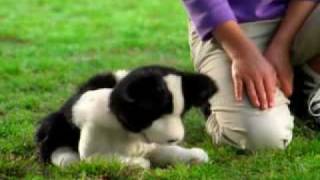 FurReal Friends Playful Pup Commercial [upl. by Atilef]