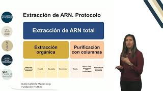 41 Extraccion de ARN [upl. by Sethrida]