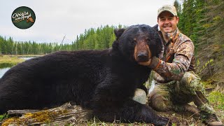 Black Bear Hunts Vol1  Best Of  Canada in the Rough ULTIMATE Bear Hunting Compilation [upl. by Eednahs]