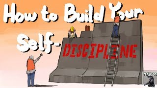 How To Build Your Self Discipline [upl. by Anoek]