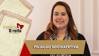 Explica Direito Filiação Socioafetiva  2019 [upl. by Annaeed]