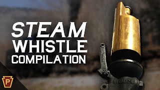 Steam Whistle Compilation 2020 [upl. by Dorcy]