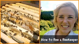 Introduction to Beekeeping 10 Steps to Becoming a Successful Beekeeper [upl. by Einor320]