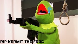 Kermit The Frog  Vine Compilation [upl. by Onilegna]