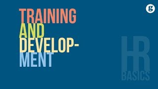 HR Basics Training and Development [upl. by Atalya323]