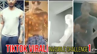 INVISIBLE CHALLENGE  The Trending Challenge of Tiktok [upl. by Annaitsirhc791]