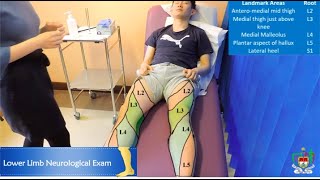 Mayo Medics Lower Limb Neurological Exam [upl. by Ytok]