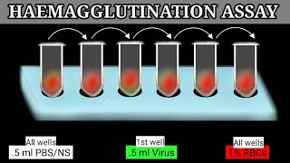 Haemagglutination Assay  HA Assay  HA Test [upl. by Hobey]