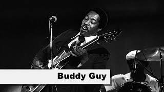 The 30 Greatest BLUES musicians of all time [upl. by Pacien]