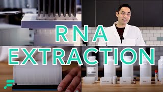 RNA Extraction Demonstration [upl. by Whitebook]