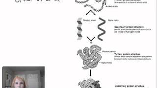 Protein Structure and Function  Part 1 [upl. by Eberta]