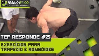 Treino em FOCO Responde 25  Exercícios para trapézio e romboides [upl. by Magda]