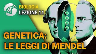 BIOLOGIA  Lezione 11  Genetica Le Leggi di Mendel [upl. by Claribel886]