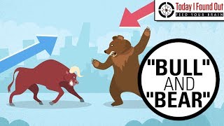 Why are Bull and Bear Markets Called That [upl. by Grossman]