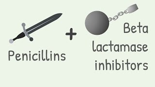 Penicillin with Beta lactamase inhibitors [upl. by Urias872]