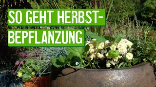 Herbstbepflanzung für Kästen und Kübel [upl. by Kleiman]