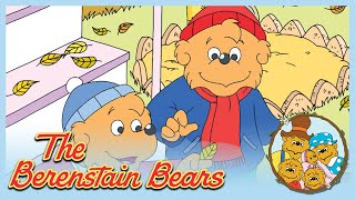 Berenstain Bears Bears For All Seasons Grow It  Ep39 [upl. by Drageruaeb]