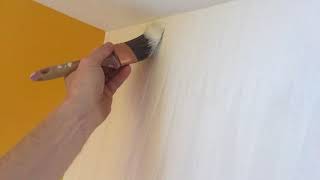 How To Paint Textured Vinyl Wallpaper  Spencer Colgan [upl. by Burris]