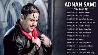 Best Of Adnan Sami TOP HINDI HEART TOUCHING SONGs  Superhit Album Songs Jukebox [upl. by Weissmann476]