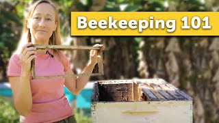 Launching  TheBeekeeperorg  online beginner beekeeping course 🐝👀 [upl. by Nnyladnarb]