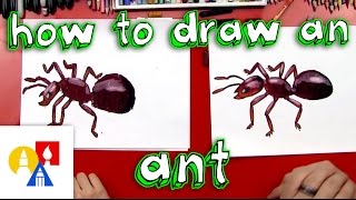 How To Draw An Ant [upl. by Aynav]