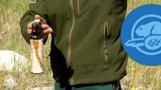 How to Use Bear Spray  Banff National Park [upl. by Burchett50]