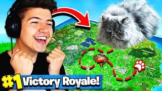 Using A CAT To WIN FORTNITE Battle Royale [upl. by Llerihs]