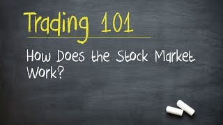 Trading 101 How Does the Stock Market Work [upl. by Steinman]