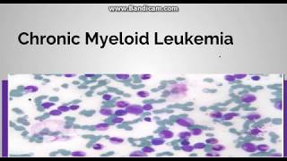 Chronic myeloid leukemia Pathogenesis Staging and periheral blood findings [upl. by Arenahs]