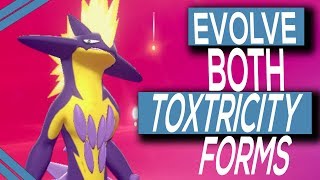 How To Evolve Toxel Into Both Forms In Pokemon Sword amp Shield [upl. by Norred648]