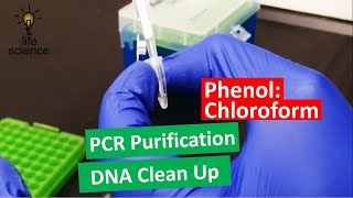 DNA Extraction  Improved PhenolChloroform Method [upl. by Eynobe]