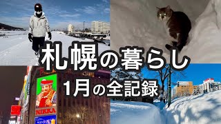 1月の札幌の暮らしを紹介します [upl. by Atwater]