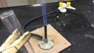 Cation Test Ammonium Ions [upl. by Cestar]