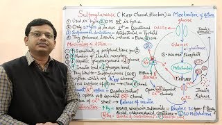 Diabetes Mellitus Part10 Mechanism of Action of Sulfonylurease  Antidiabetic Drugs  Diabetes [upl. by Guerin513]