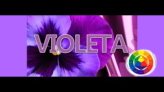 Como saco el Color Morado o Violeta [upl. by Aznarepse]