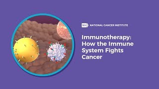 Immunotherapy How the Immune System Fights Cancer [upl. by Eiromem]