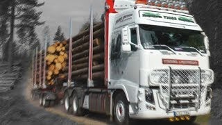 Timber truck loading  Sweden [upl. by Liggitt98]