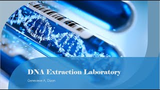 DNA Extraction Laboratory Methods [upl. by Park934]