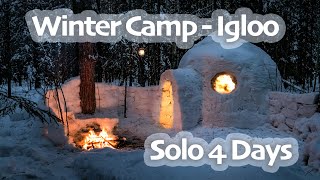 4 Days SOLO WINTER Camp  IGLOO Build  CHAGA Harvesting  Snow Shelter  Snowfall [upl. by Lias]