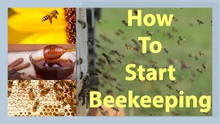 Beekeeping How To Start Beekeeping In 2025 [upl. by Zachary]