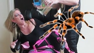 TERRIFYING TARANTULA PRANK [upl. by Janeen179]