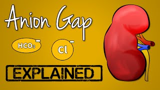 Anion Gap EXPLAINED [upl. by Nidnal]