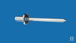 Standard blind rivet setting process – RIVQUICK® [upl. by Atoel]