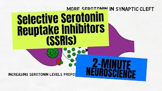 2Minute Neuroscience Selective Serotonin Reuptake Inhibitors SSRIs [upl. by Derfliw]