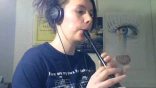 Traditional Irish Tin Whistle Songs [upl. by Leuqer]